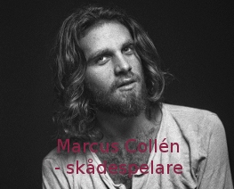Marcus Collén